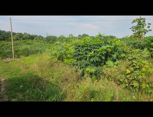 10,205M² VACANT LAND FOR SALE IN KULEKA